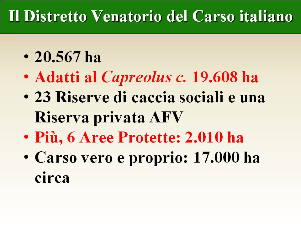 Diapositiva02