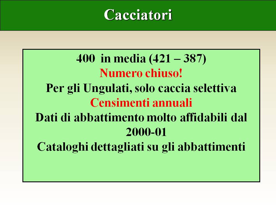 Diapositiva03