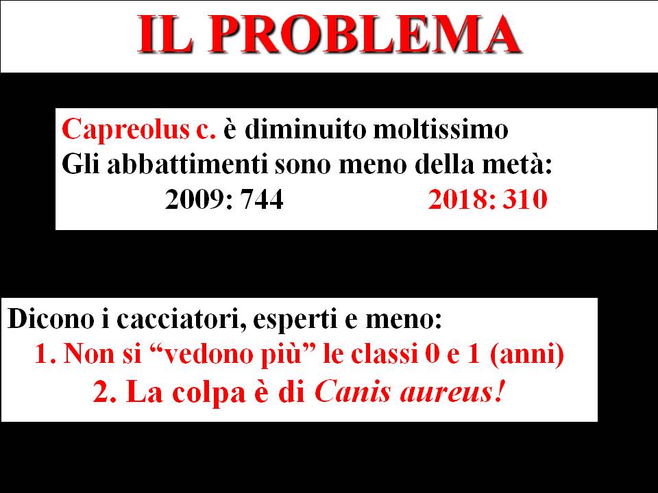 Diapositiva06