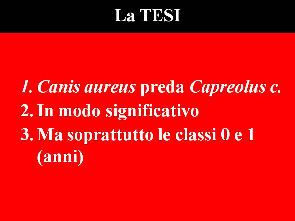 Diapositiva07
