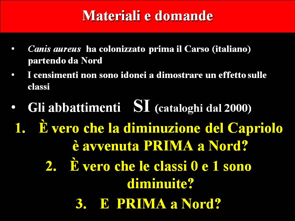 Diapositiva08